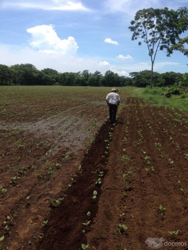 Venta de hermoso Terreno/Finca en Nindiri, Masaya - 1