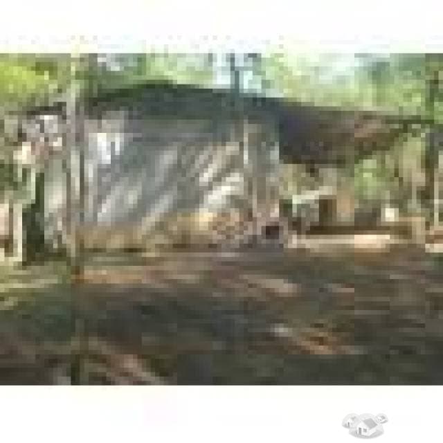 VENDO FINCA DE 120 MANZANA GANGA - 1